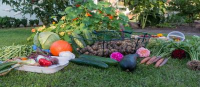 Как да поливаме зеленчуковата градина?